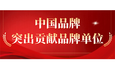 凯发·k8国际,k8国际官网,凯发k8(中国)天生赢家电梯获评“突出贡献品牌单位”，树凯发·k8国际,k8国际官网,凯发k8(中国)天生赢家国品牌标杆力量